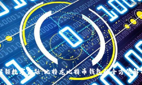解锁数字金融：比特龙比特币钱包的全方位解析