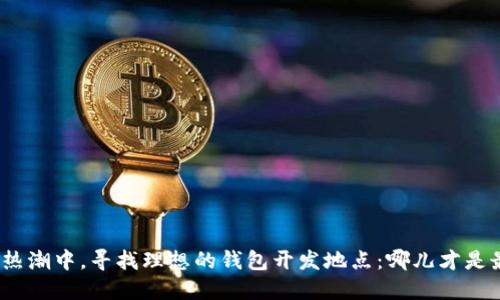 在区块链热潮中，寻找理想的钱包开发地点：哪儿才是最佳选择？