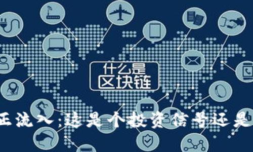 比特币钱包余额正流入：这是个投资信号还是市场反弹的开始？