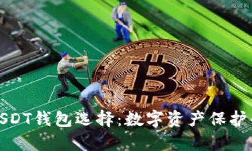 最安全的USDT钱包选择：数字资产保护的最佳实践