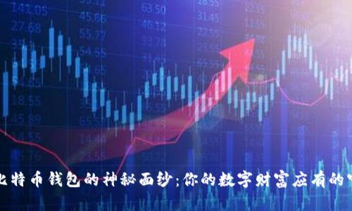 揭开比特币钱包的神秘面纱：你的数字财富应有的守护者