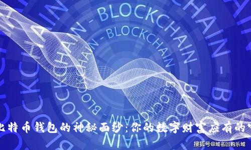 揭开比特币钱包的神秘面纱：你的数字财富应有的守护者