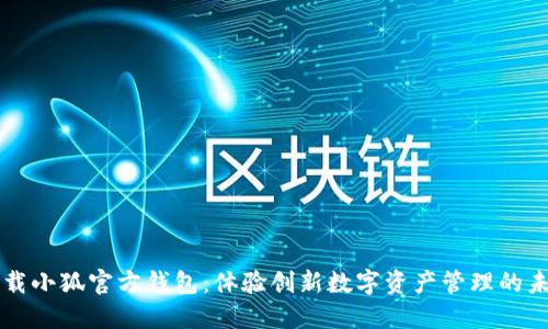 下载小狐官方钱包：体验创新数字资产管理的未来