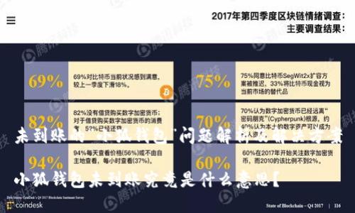 未到账的“小狐钱包”问题解析及解决方案

小狐钱包未到账究竟是什么意思？