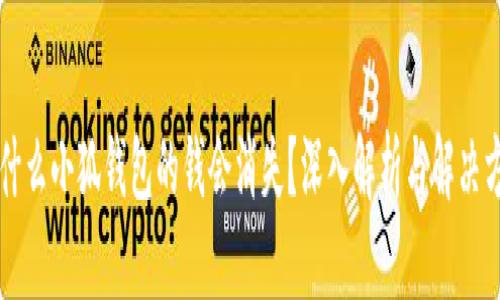 为什么小狐钱包的钱会消失？深入解析与解决方案