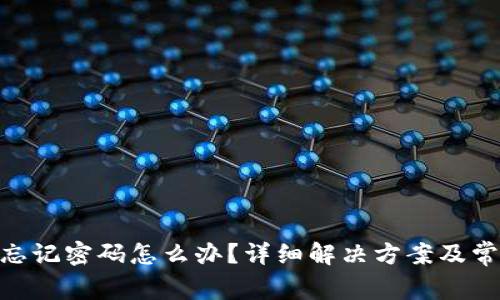 MetaMask忘记密码怎么办？详细解决方案及常见问题解析