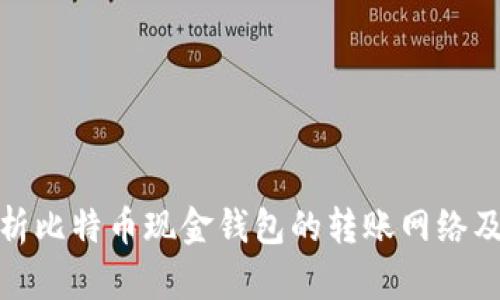 全面解析比特币现金钱包的转账网络及其策略