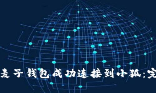 如何将麦子钱包成功连接到小狐：完整指南